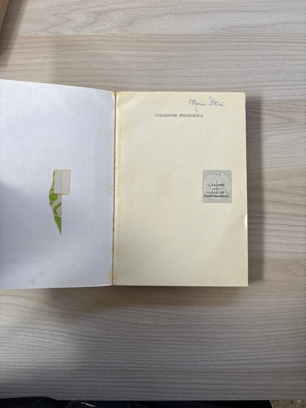 Image #8