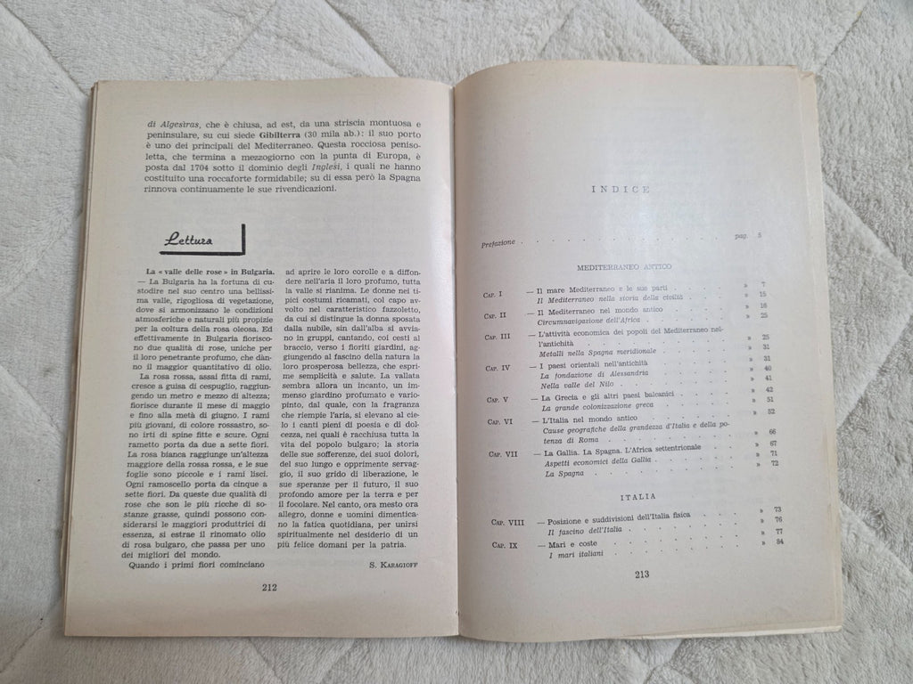 Image #10