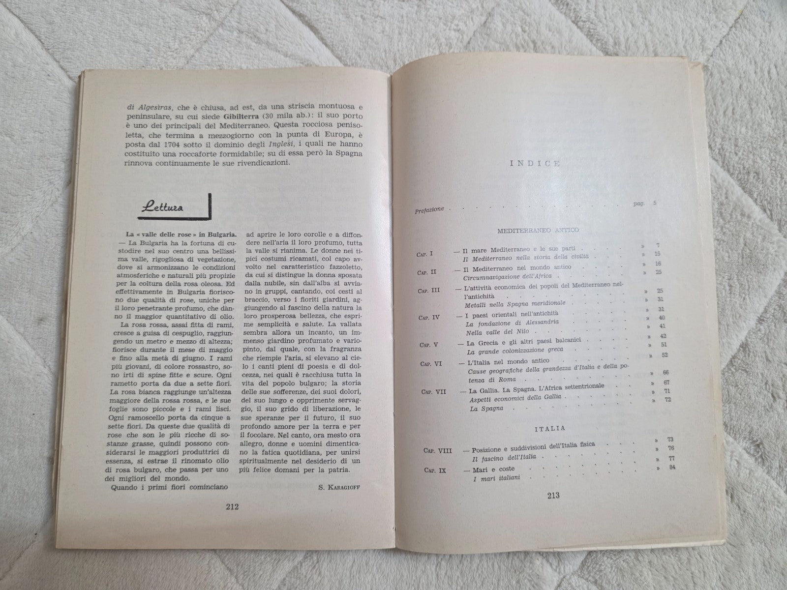 Image #10