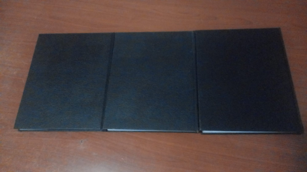 Image #2