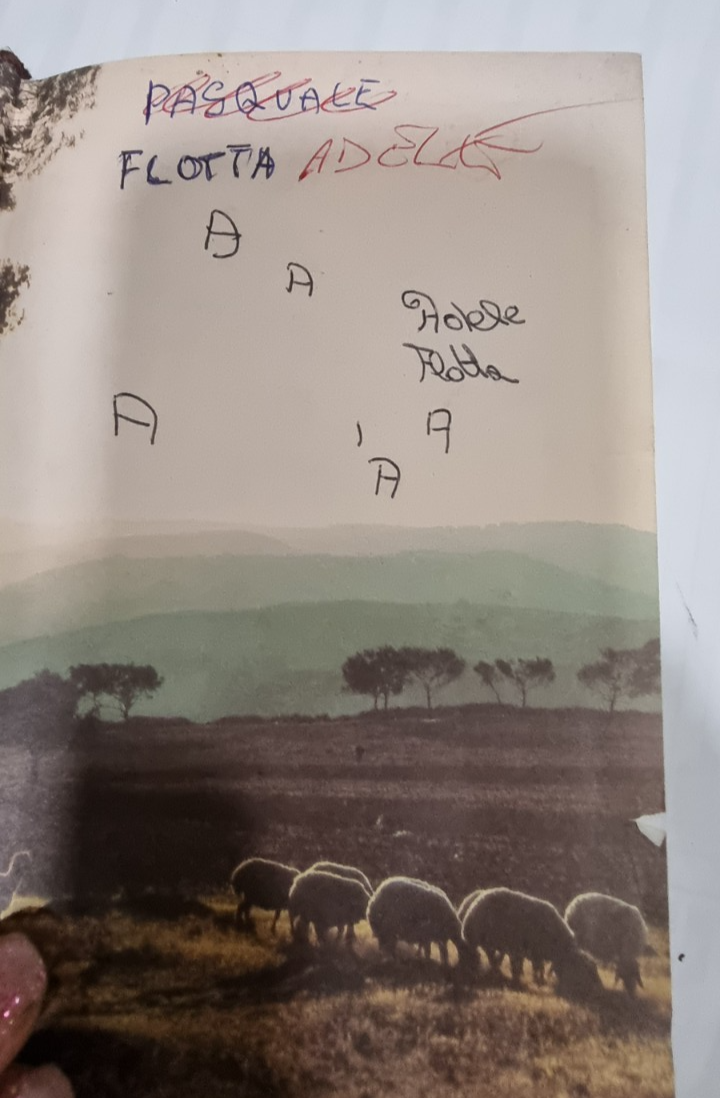 Image #5