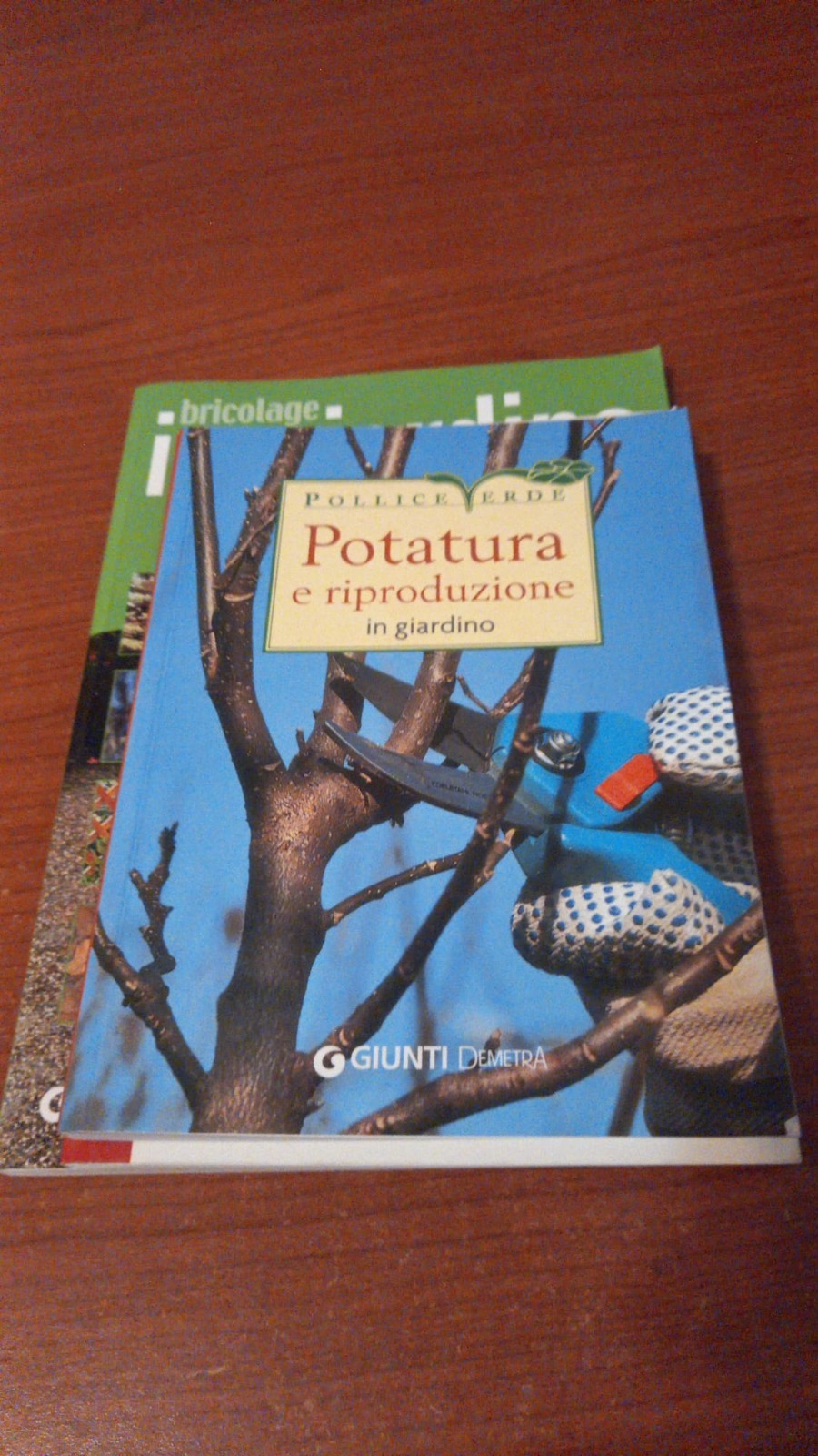 Image #5