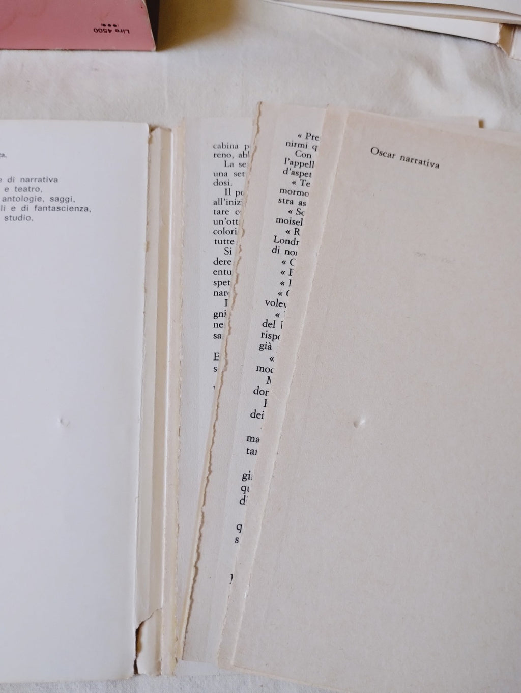 Image #7
