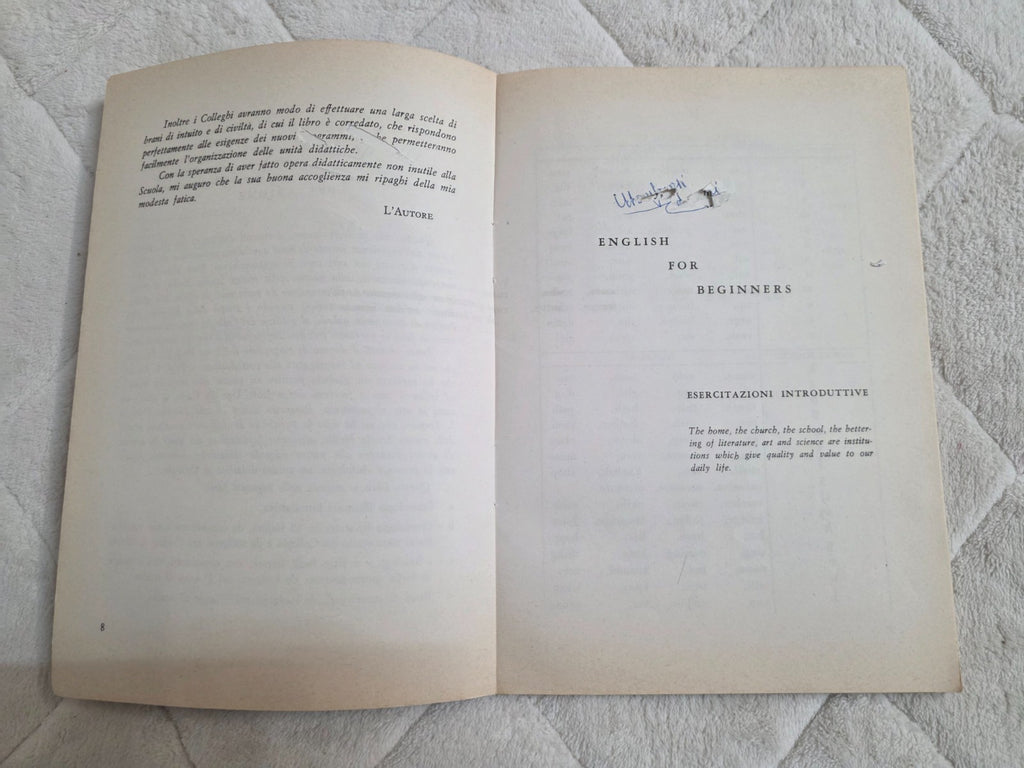 Image #12