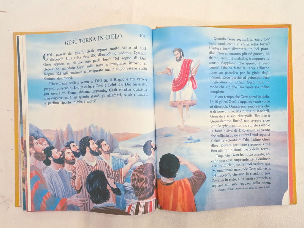 Image #8