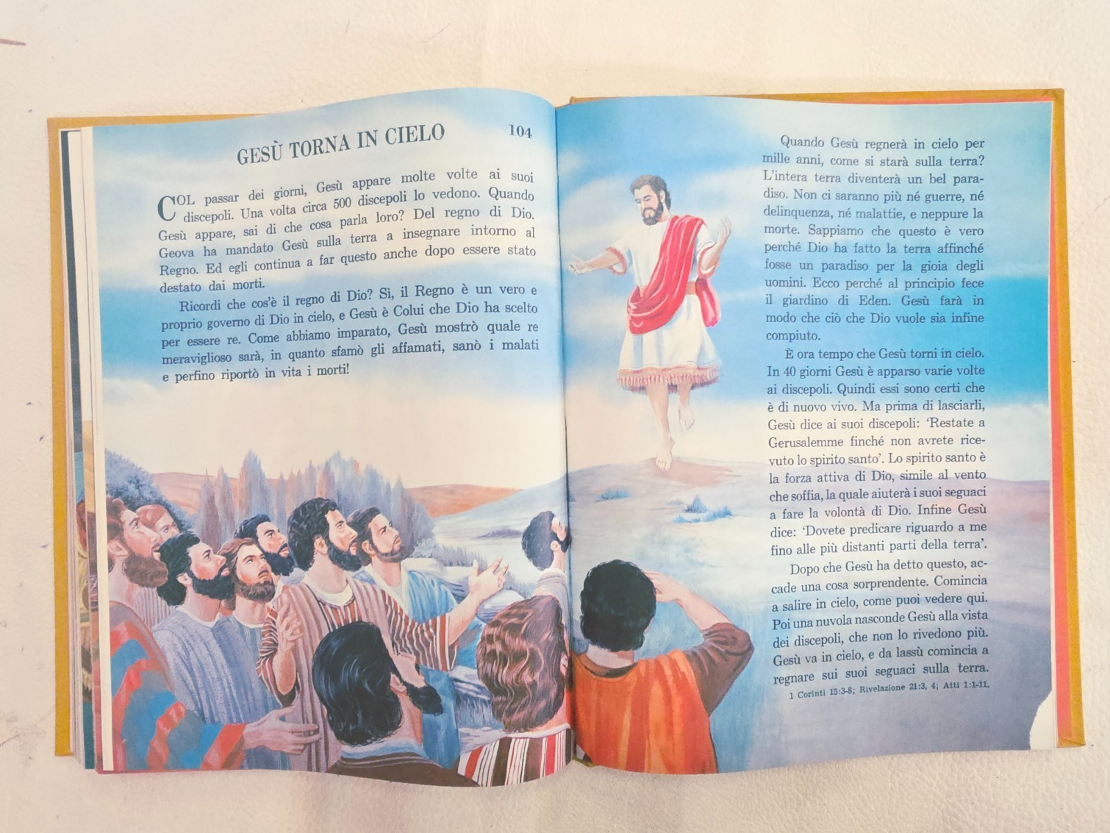 Image #8