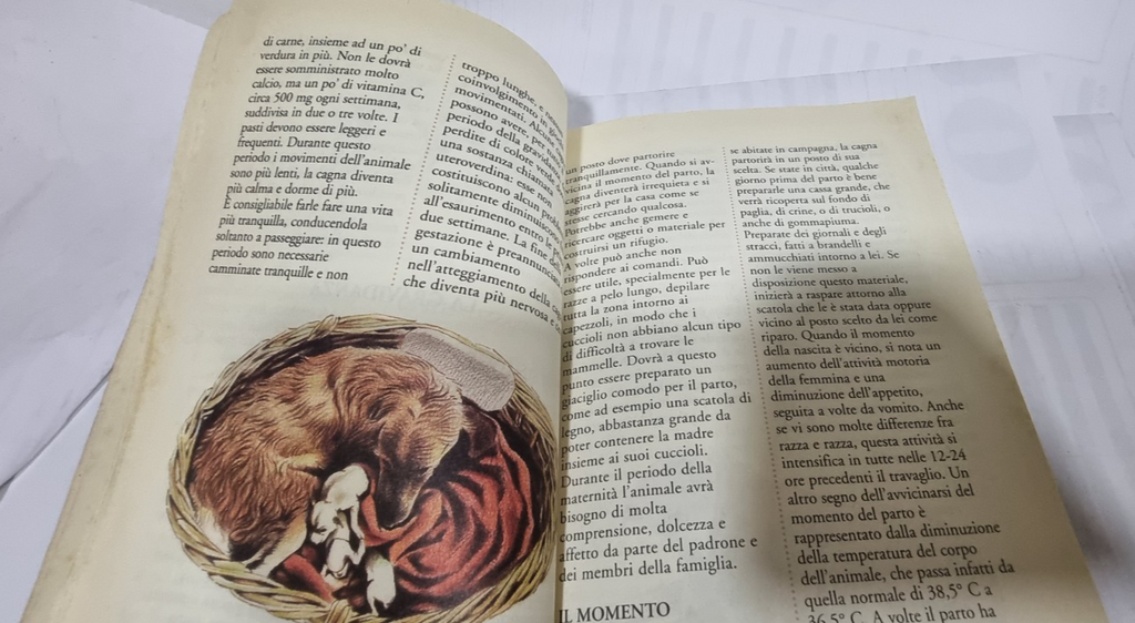 Image #7