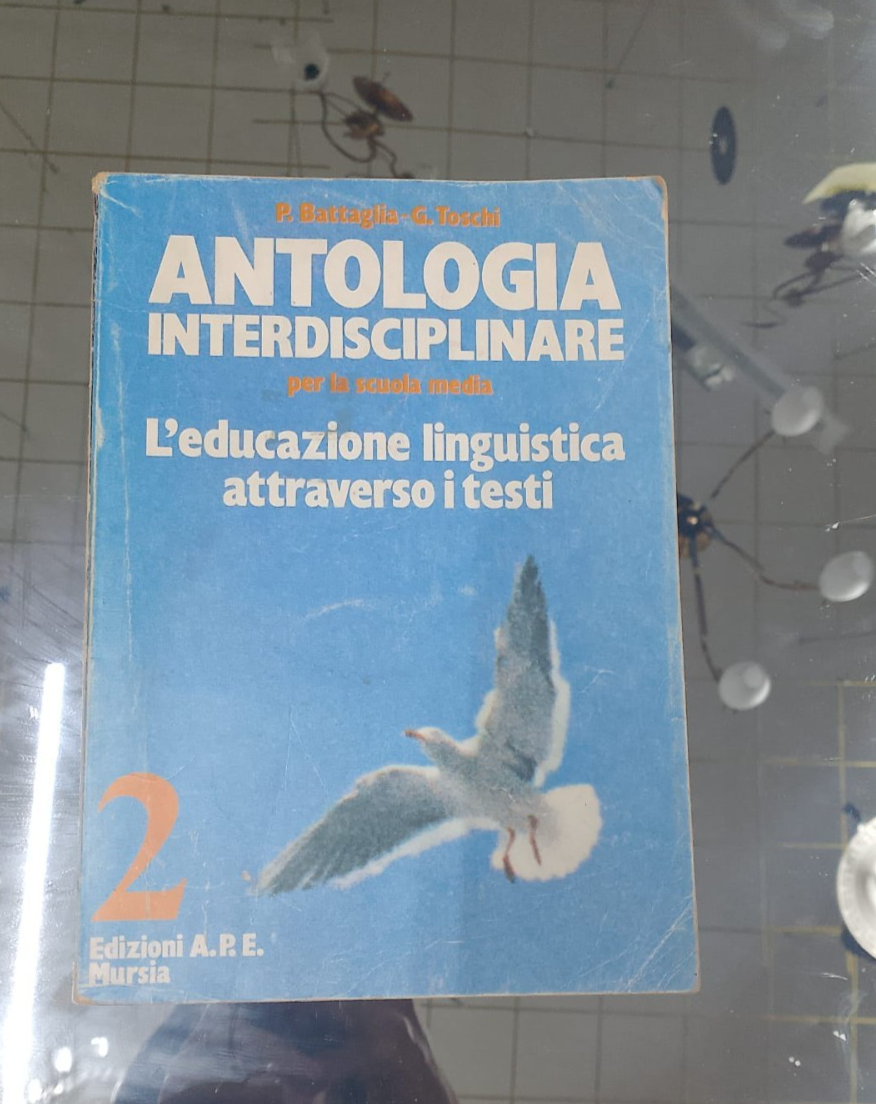 Image #1