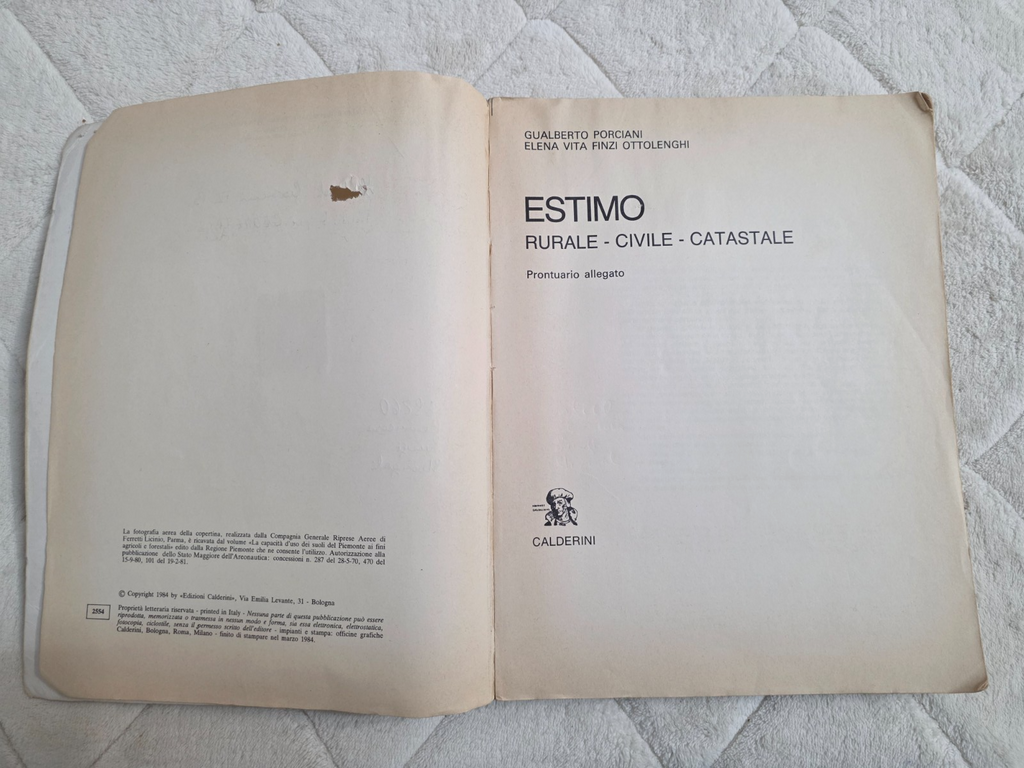 Image #10