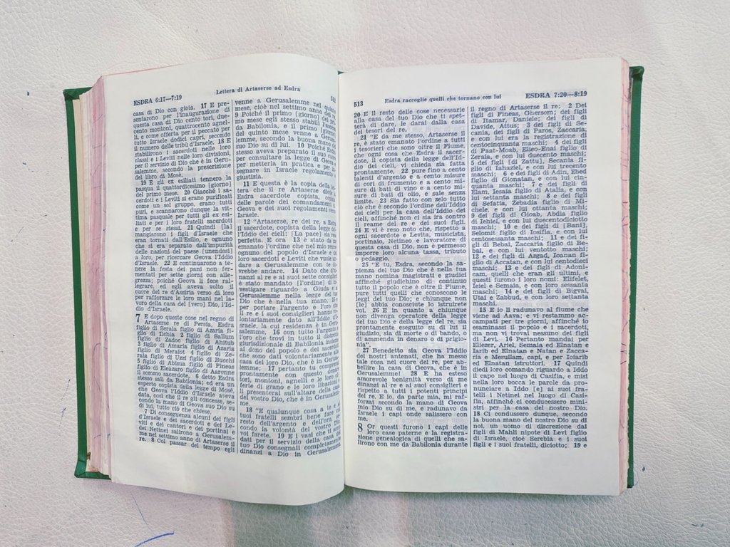 Image #8