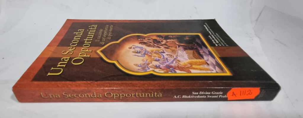 Image #4
