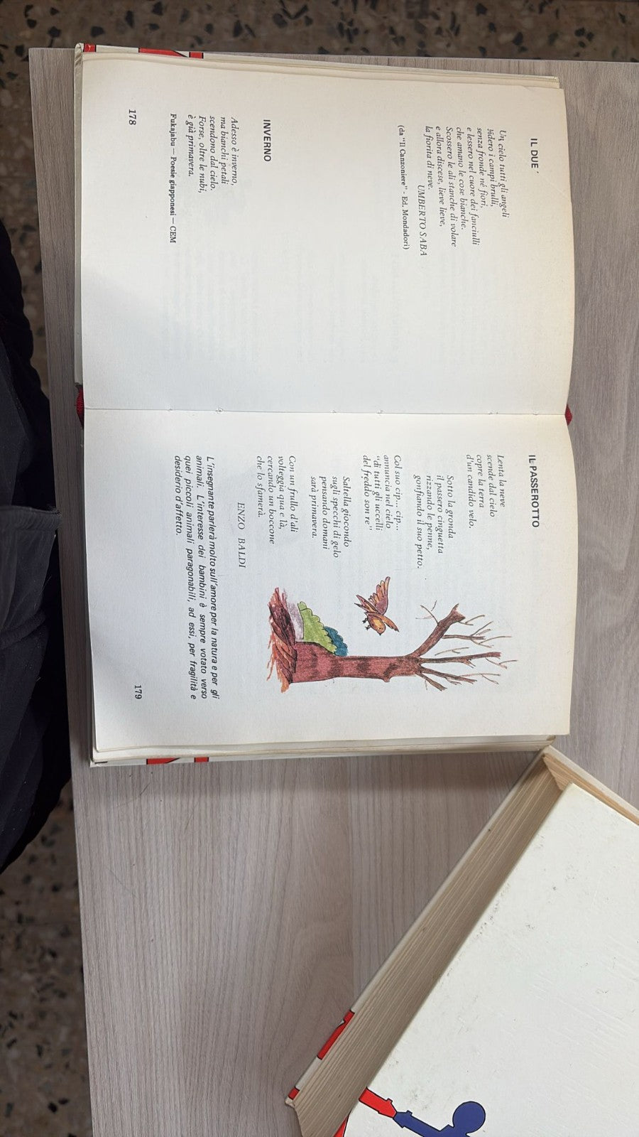Image #7