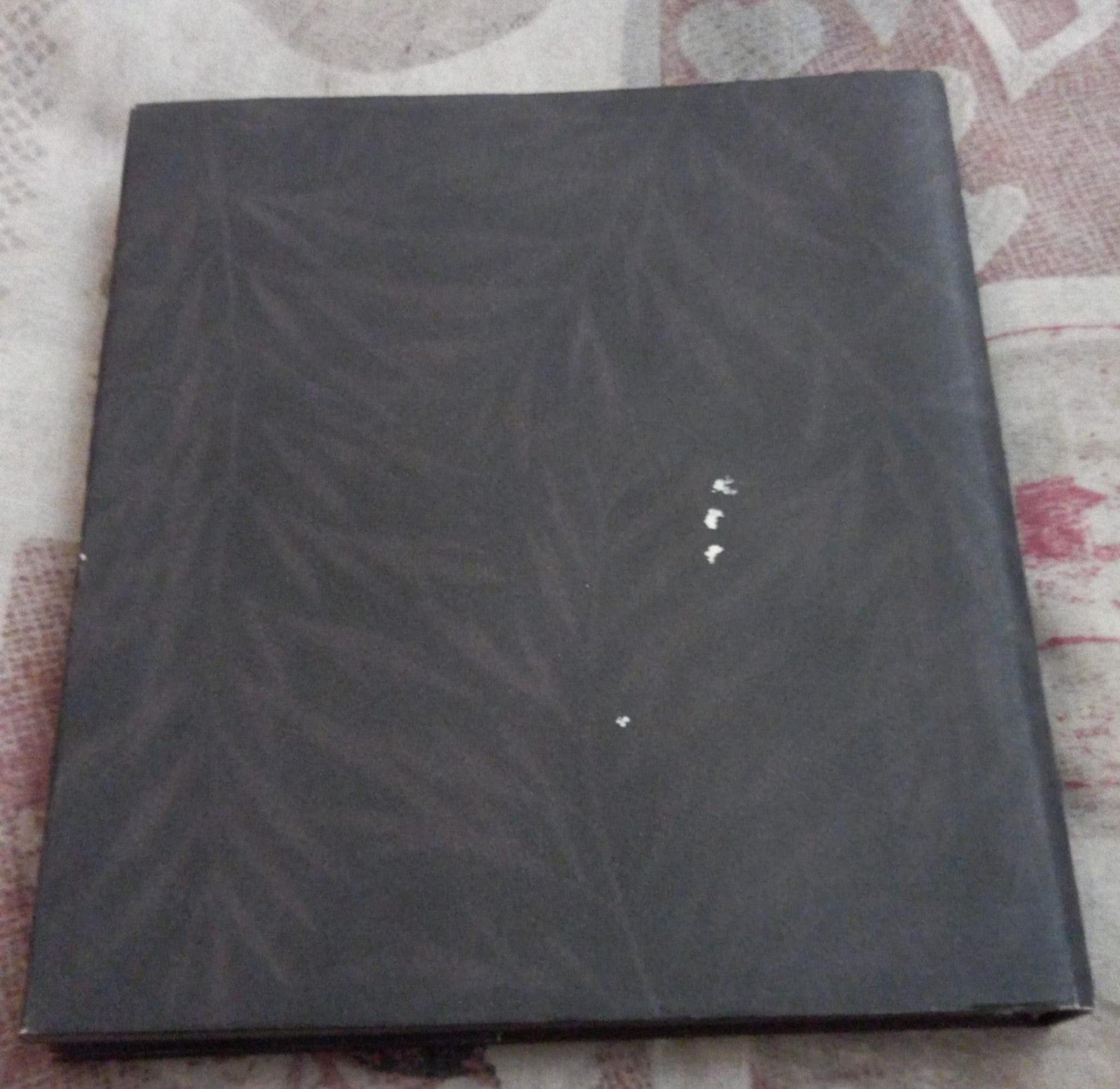 Image #2