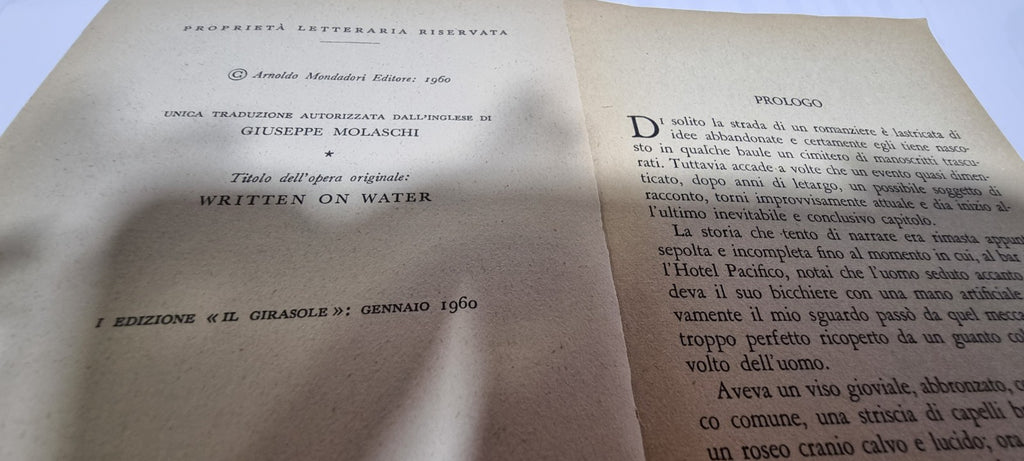 Image #8