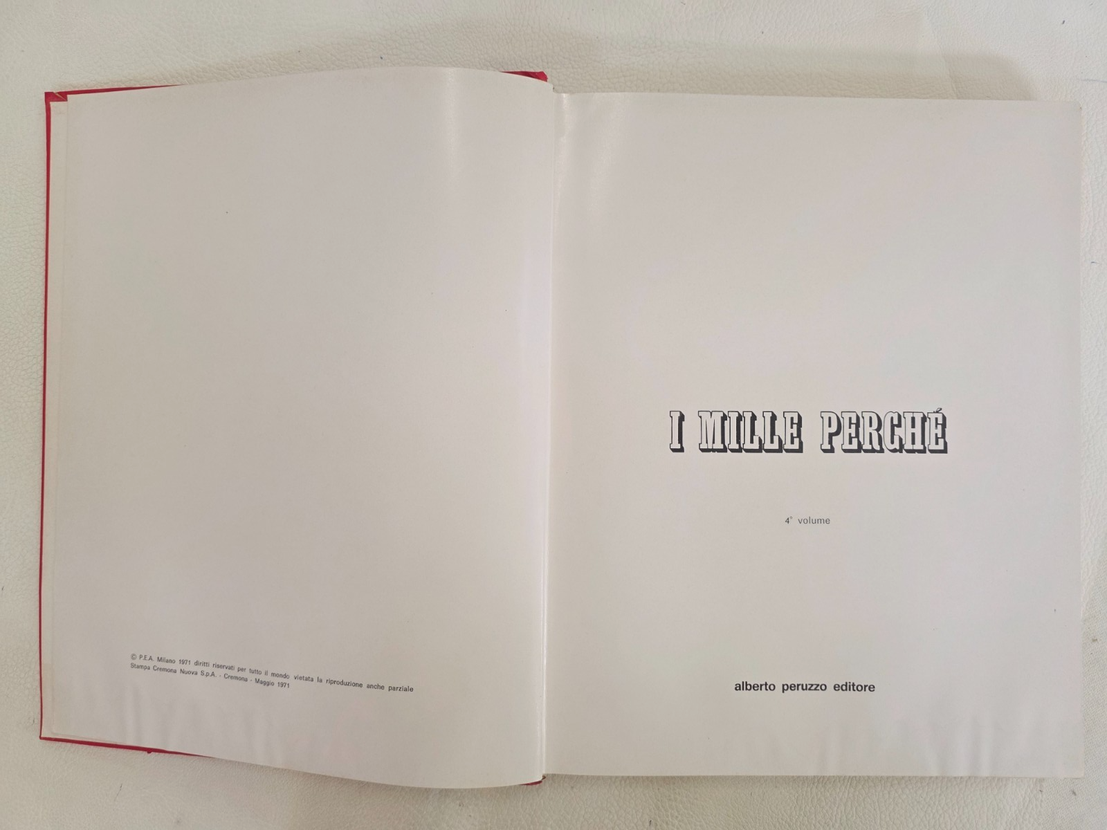 Image #13
