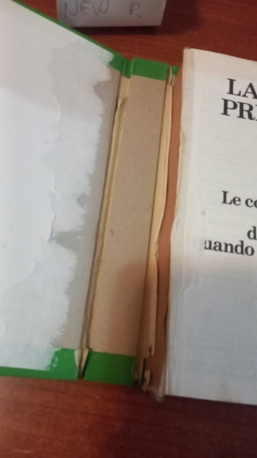 Image #7