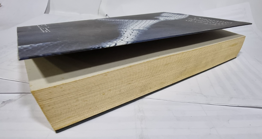 Image #8