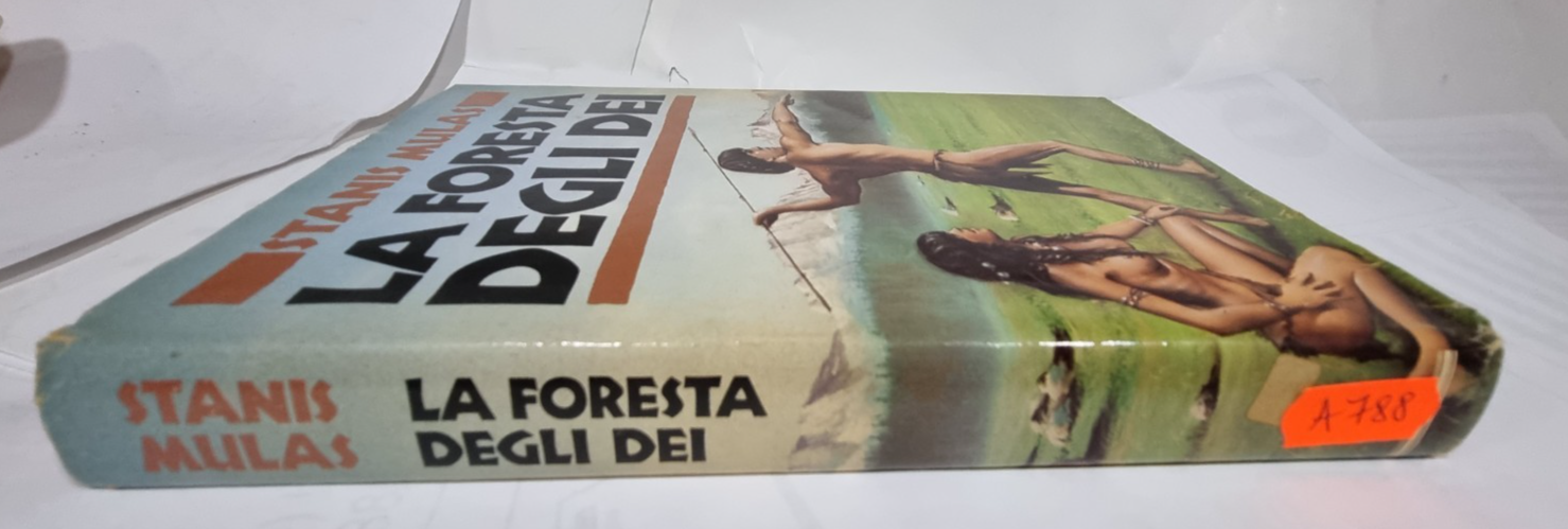 Image #4