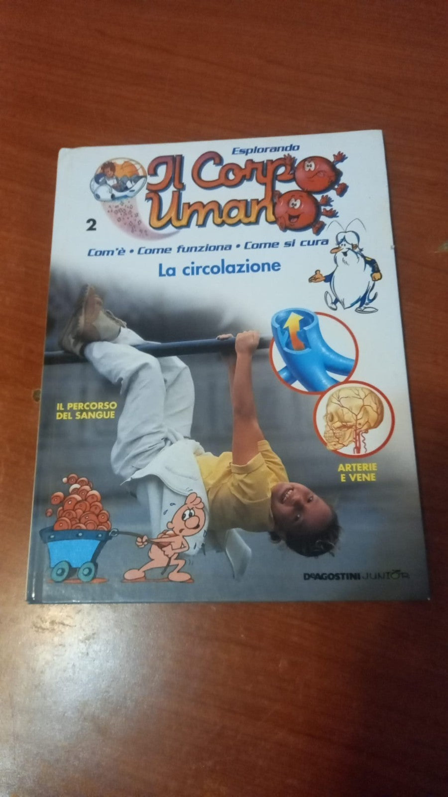 Image #3