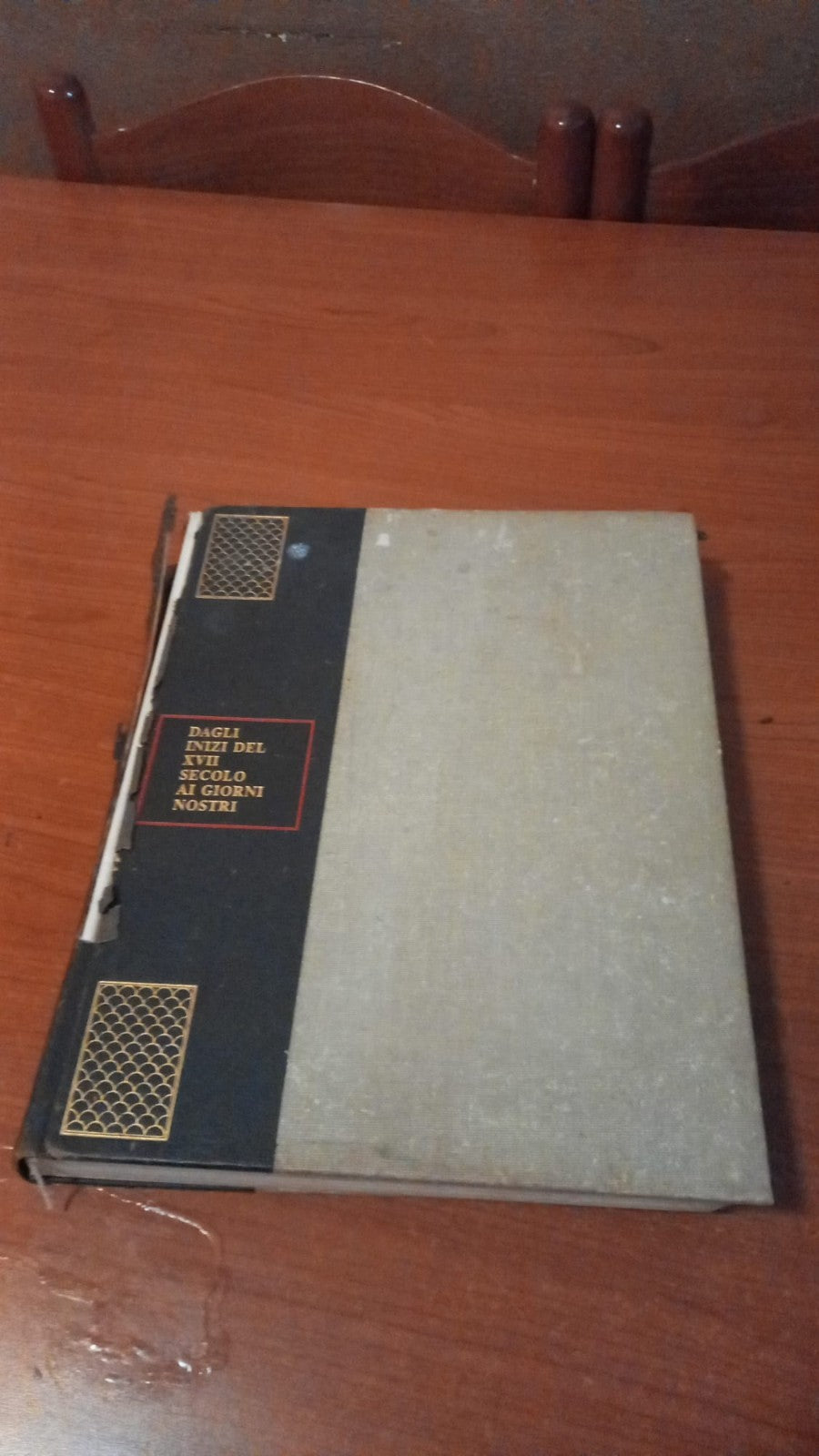 Image #6