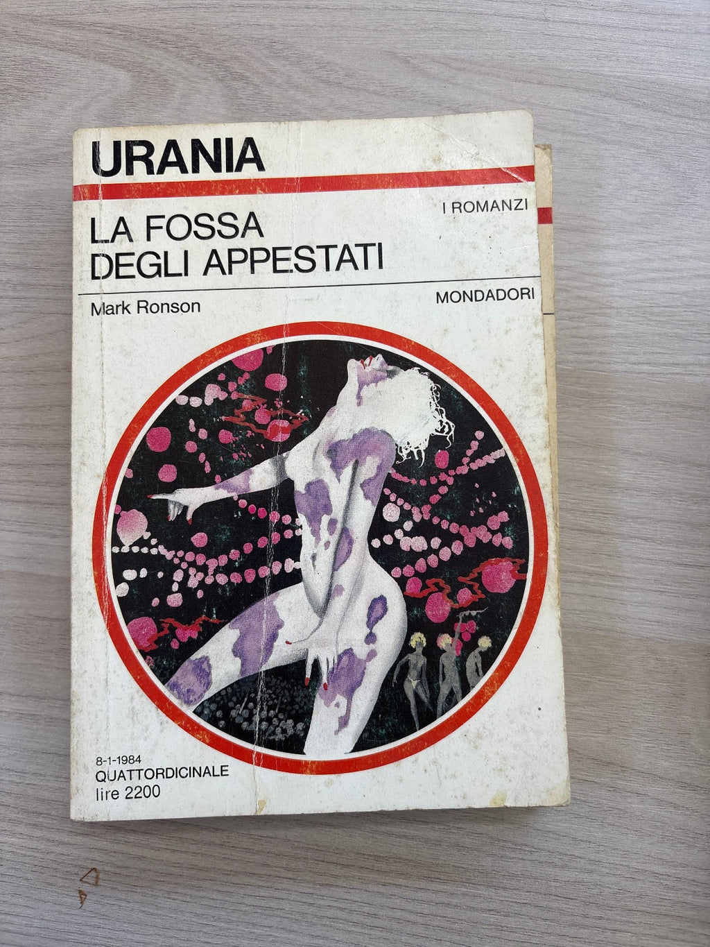 Image #8