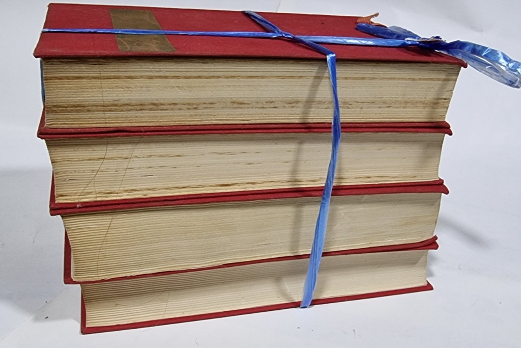 Image #5