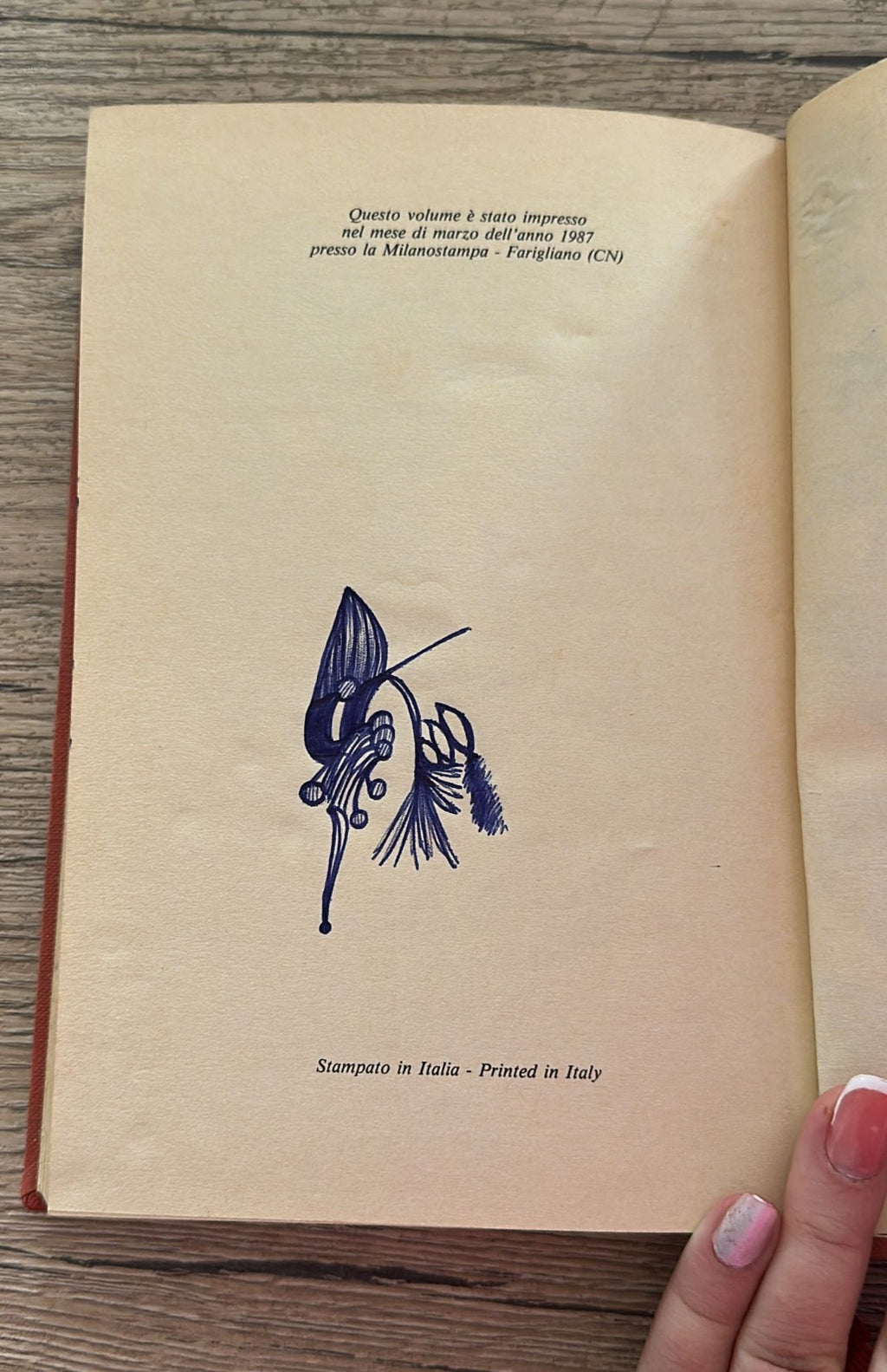 Image #8