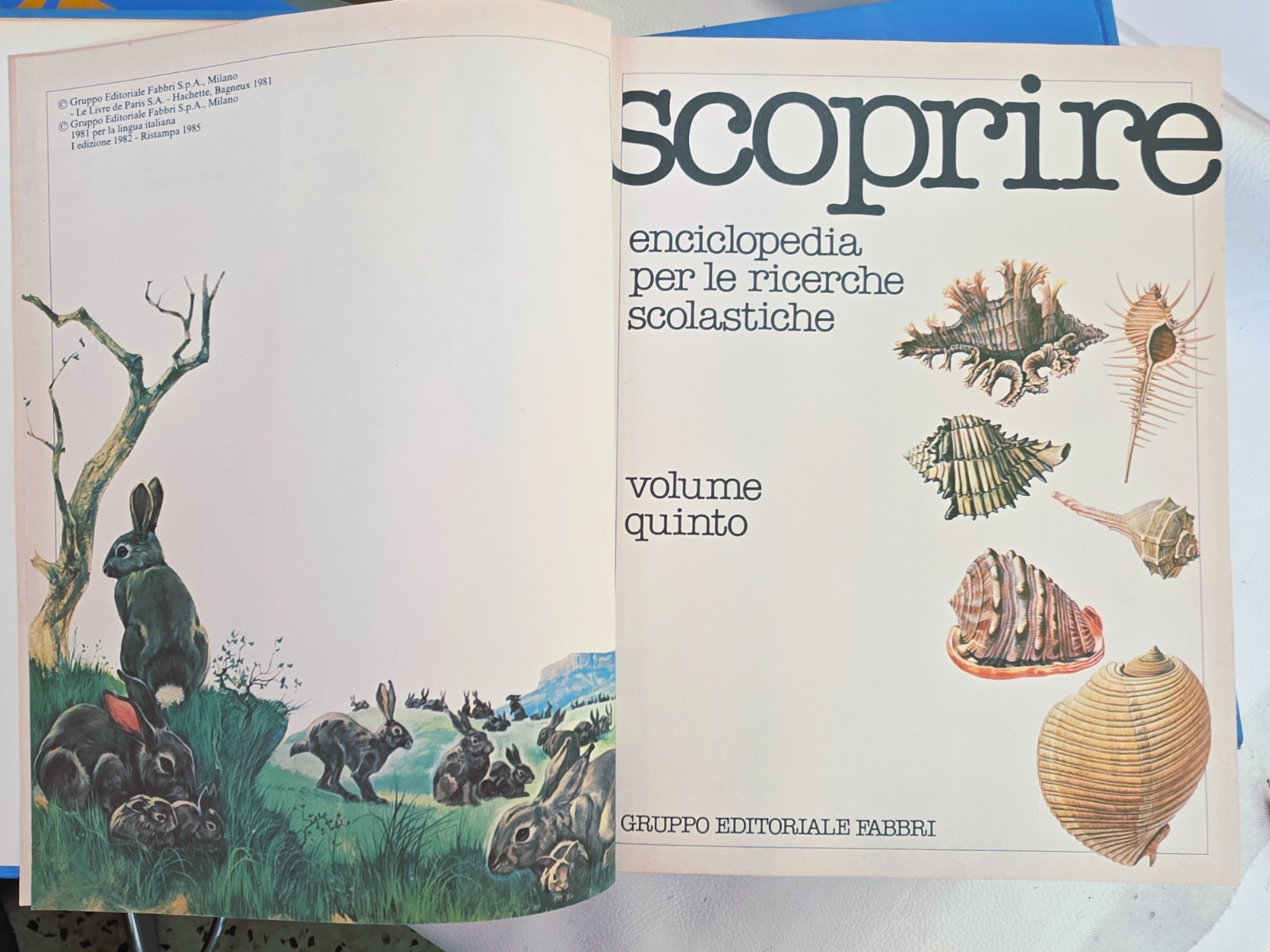 Image #15
