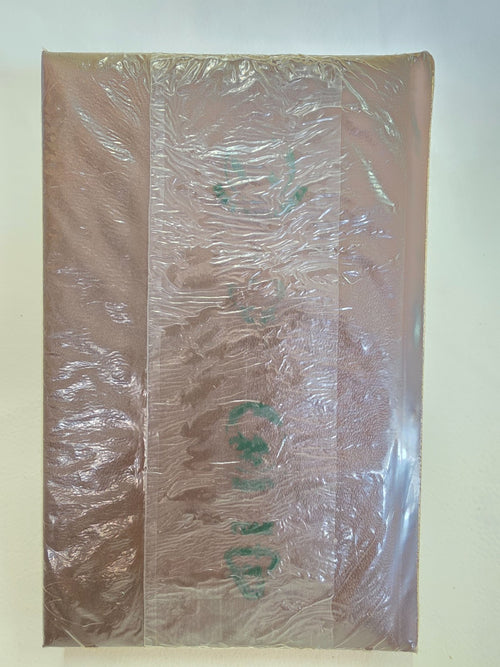 "Del Progredire della Scienza" di Bacone - Geda Capolavori libro