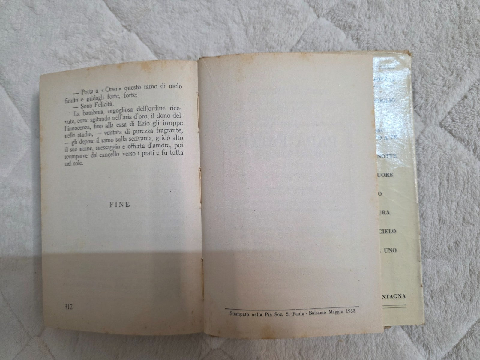 Image #13
