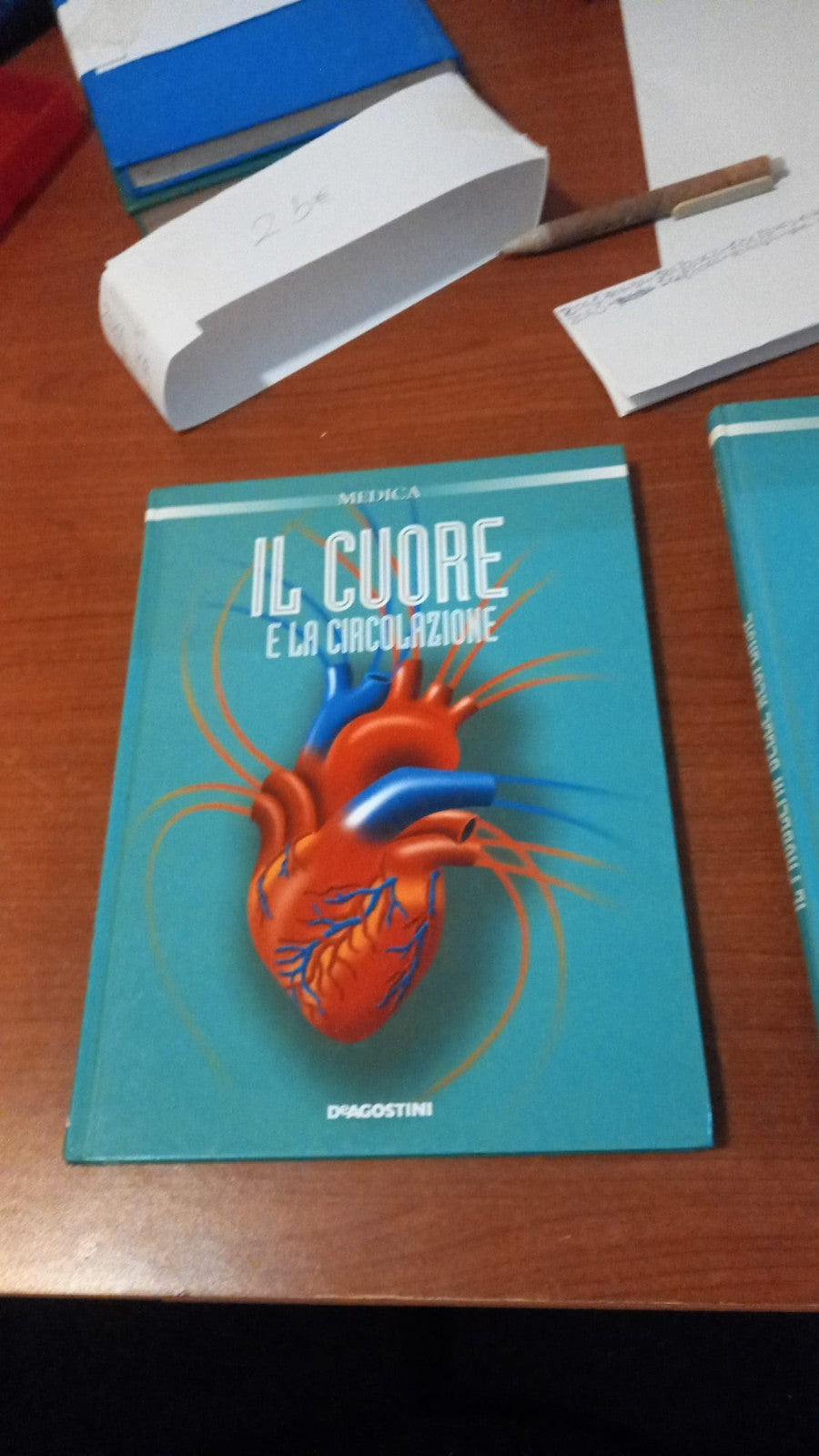 Image #5