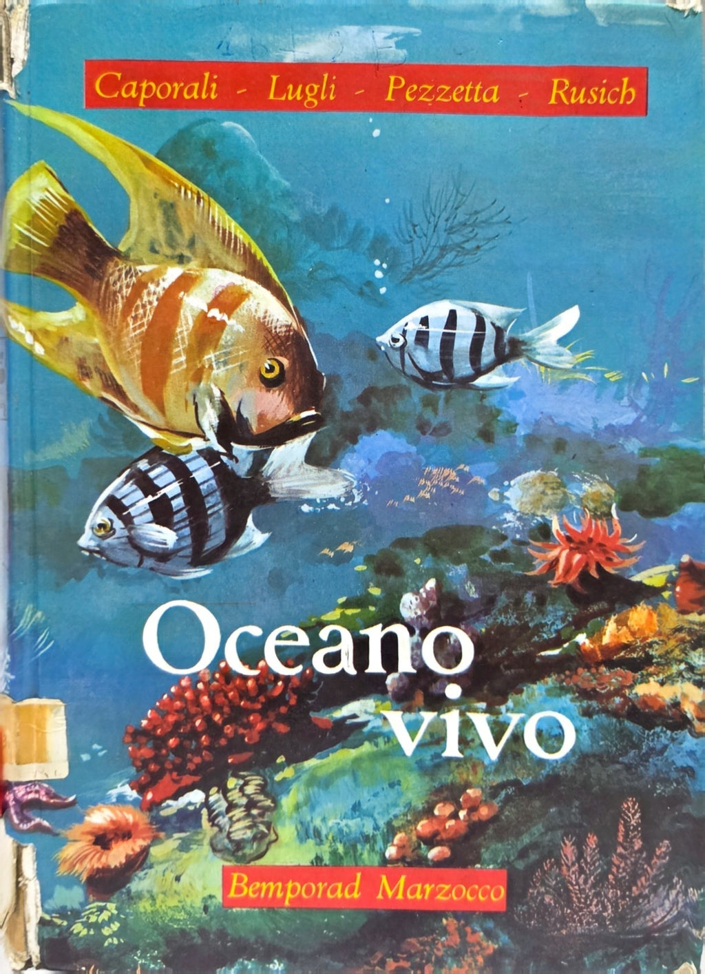 Image #1