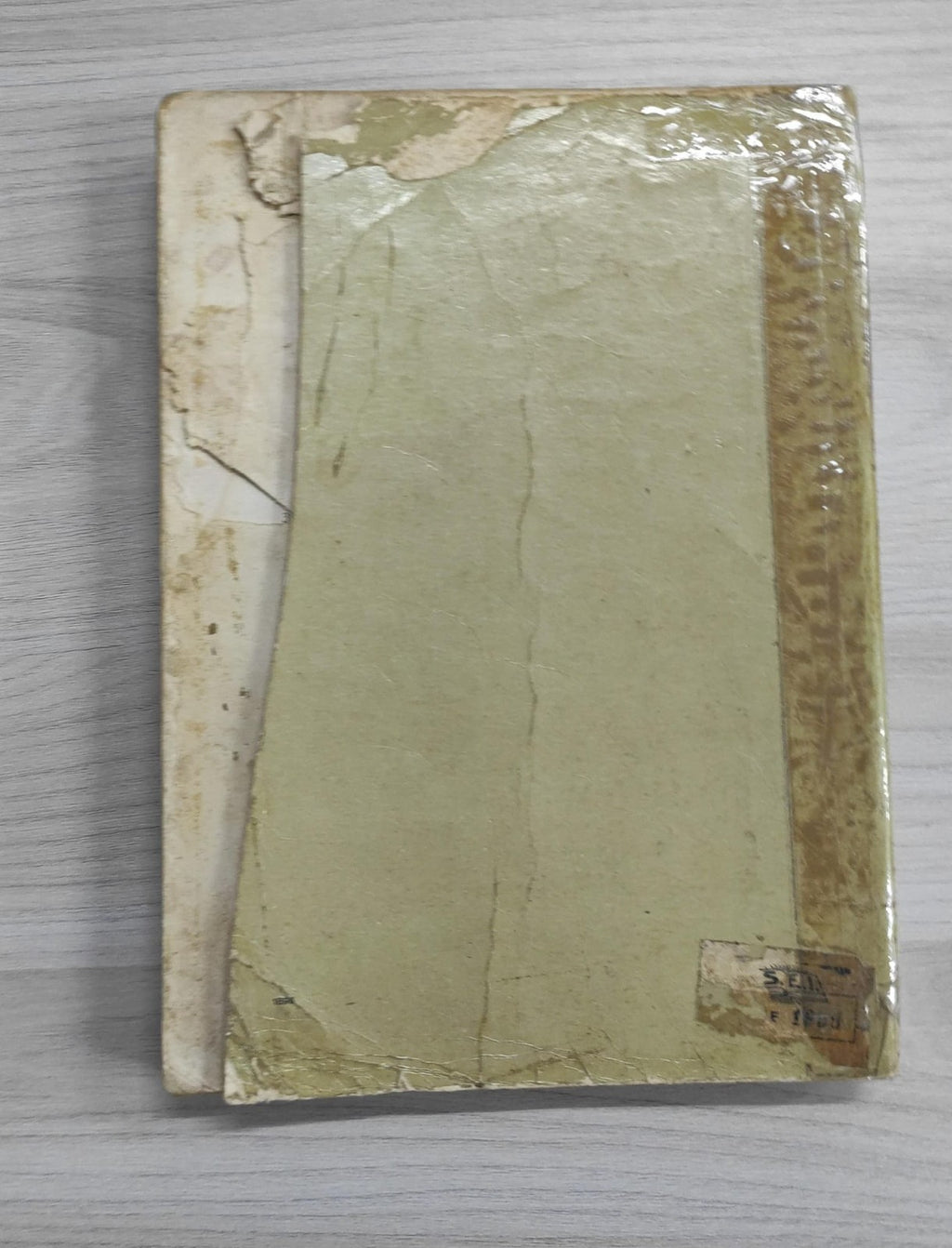 Image #2