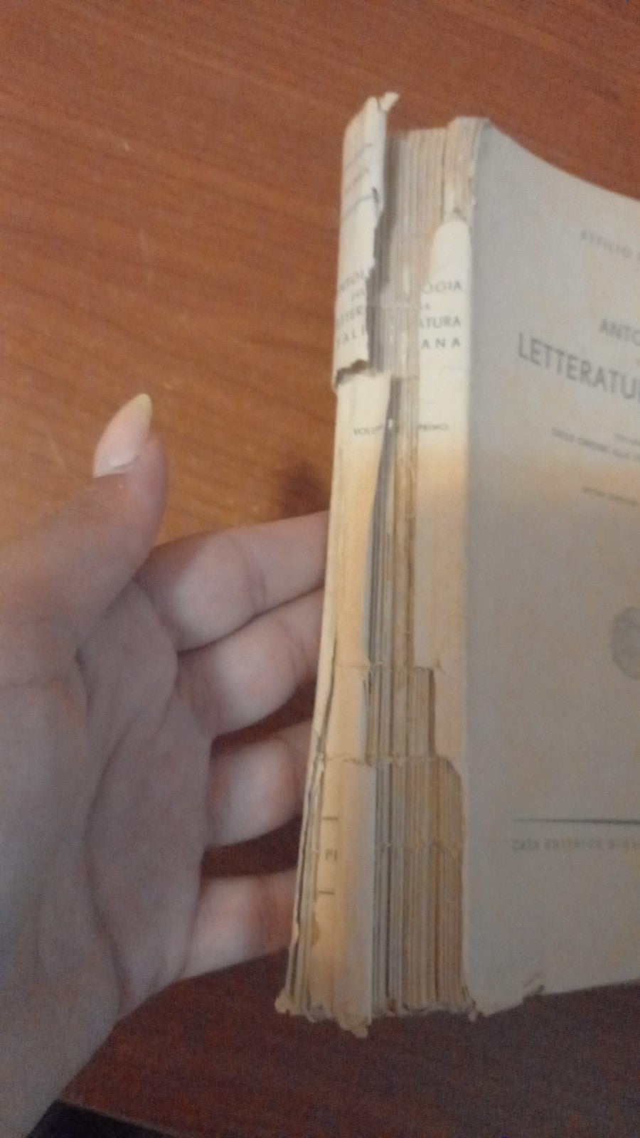 Image #6