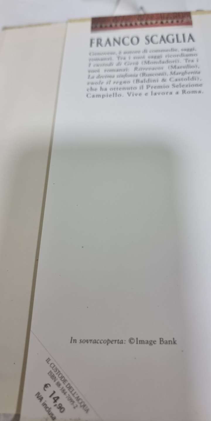 Image #8