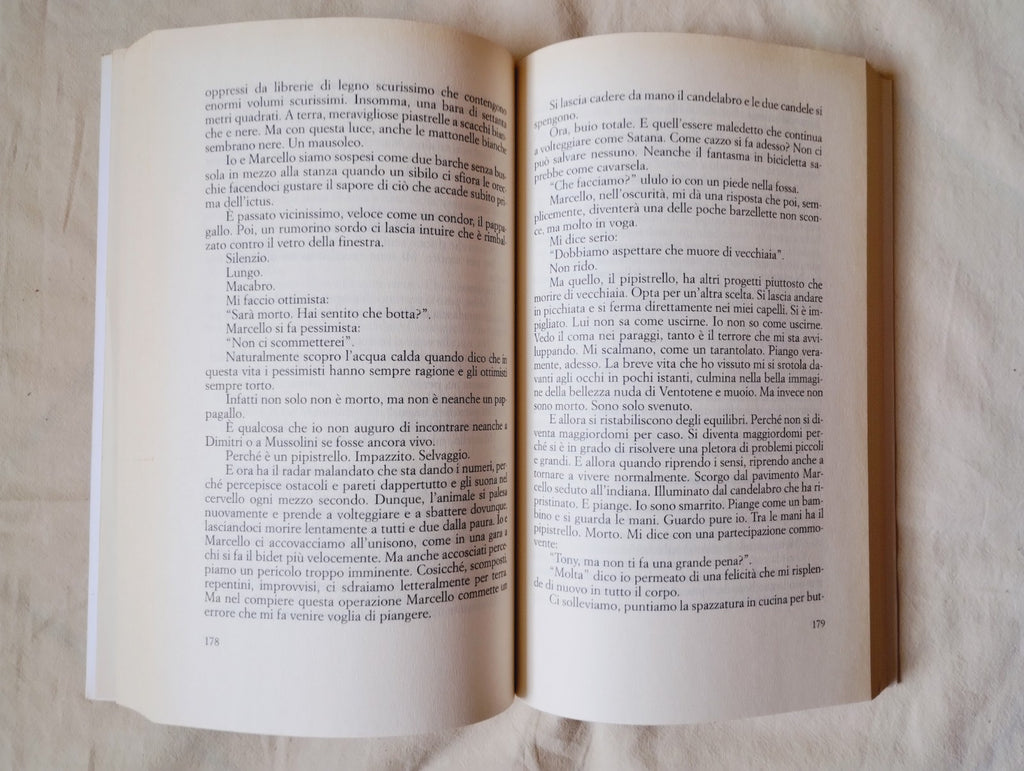 Image #5