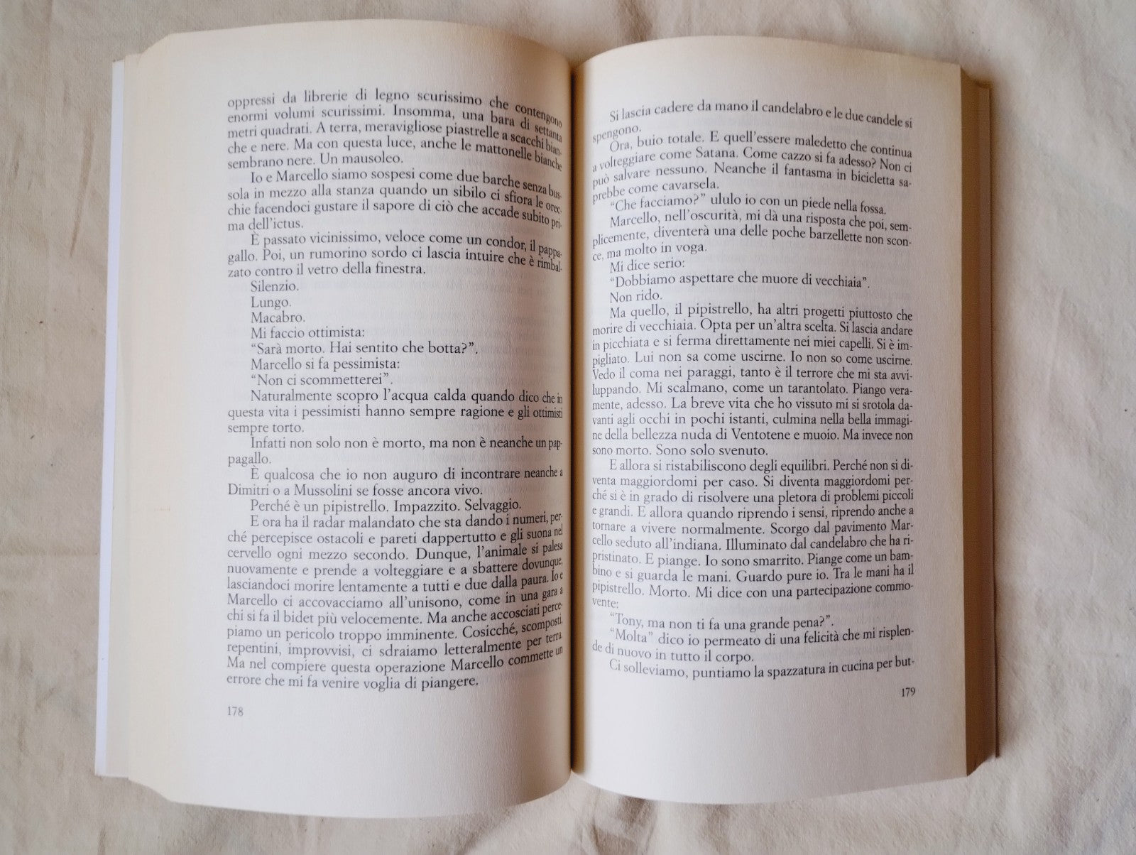 Image #5