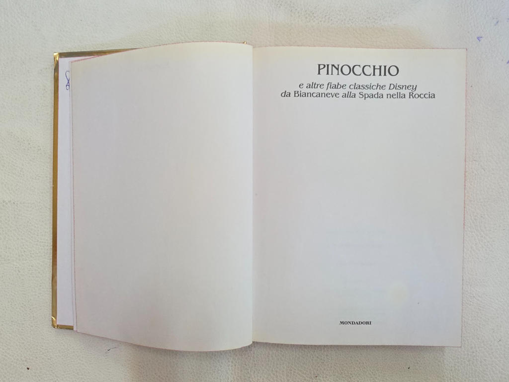 Image #7