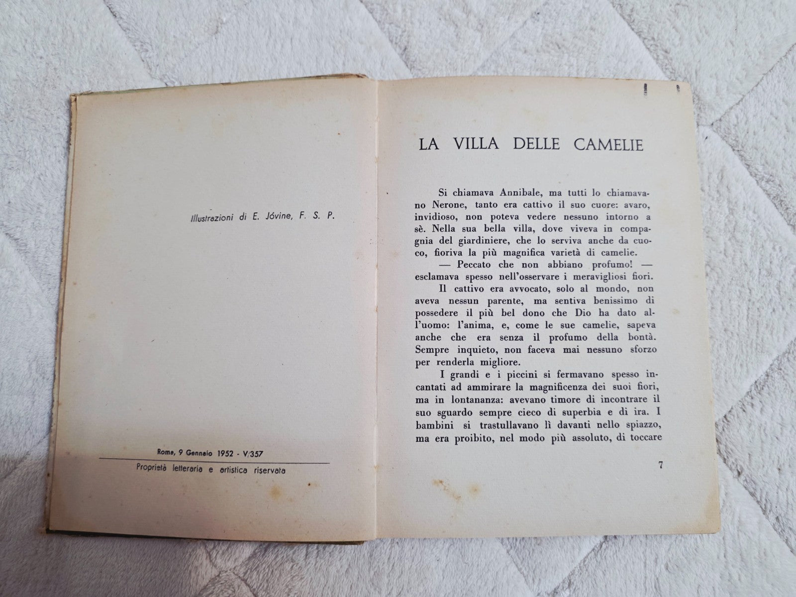 Image #6
