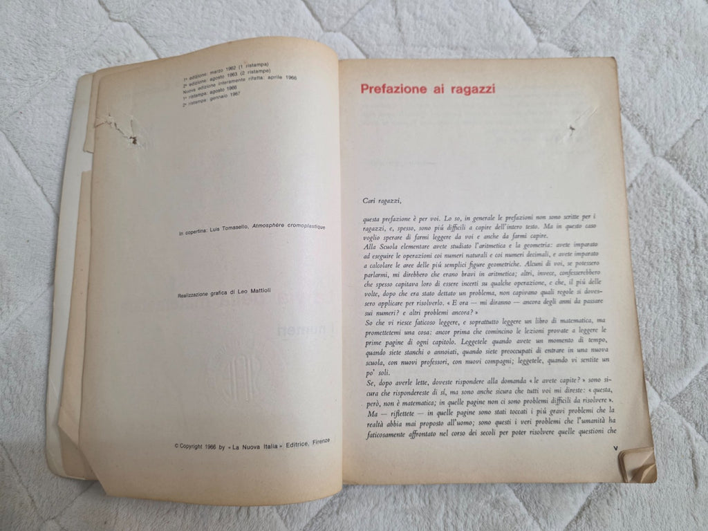 Image #11