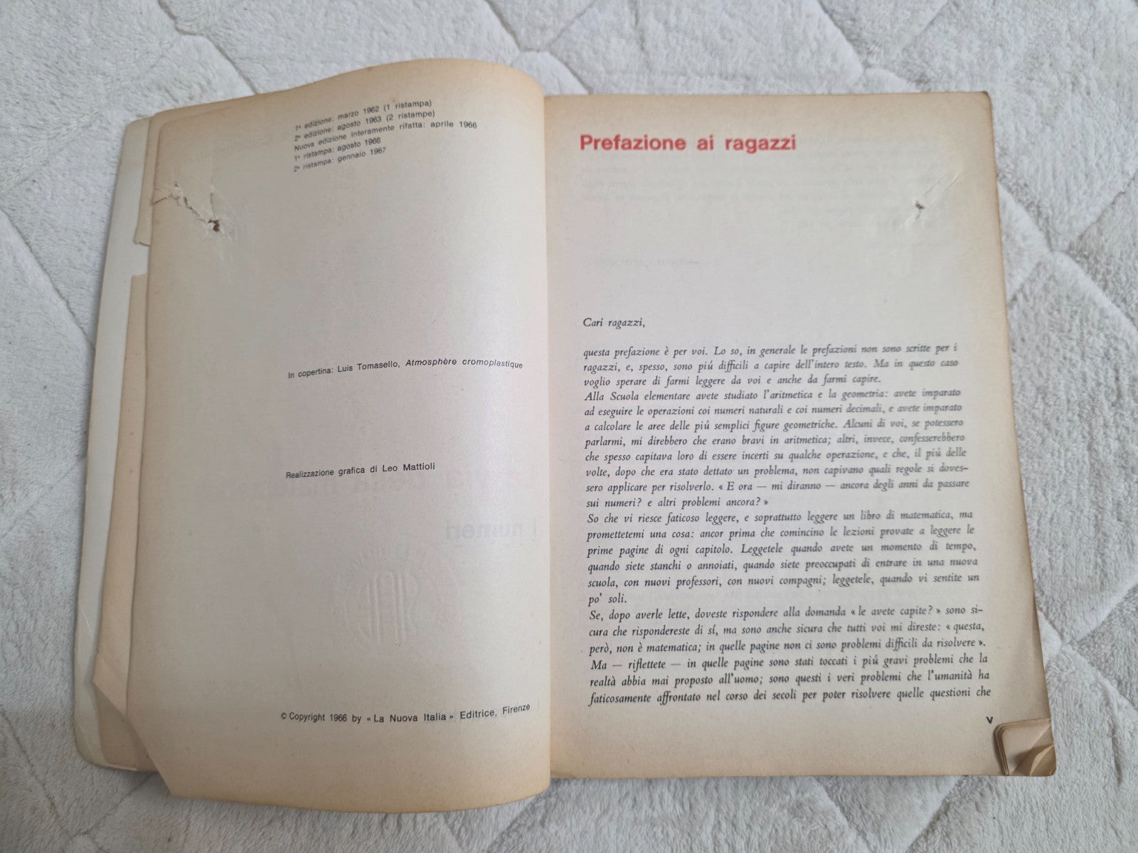 Image #11