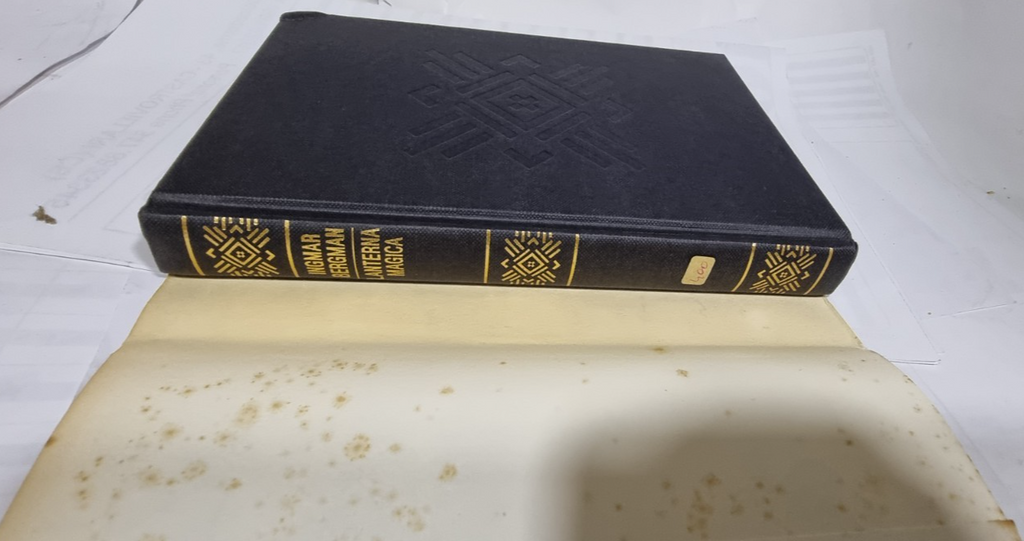 Image #5