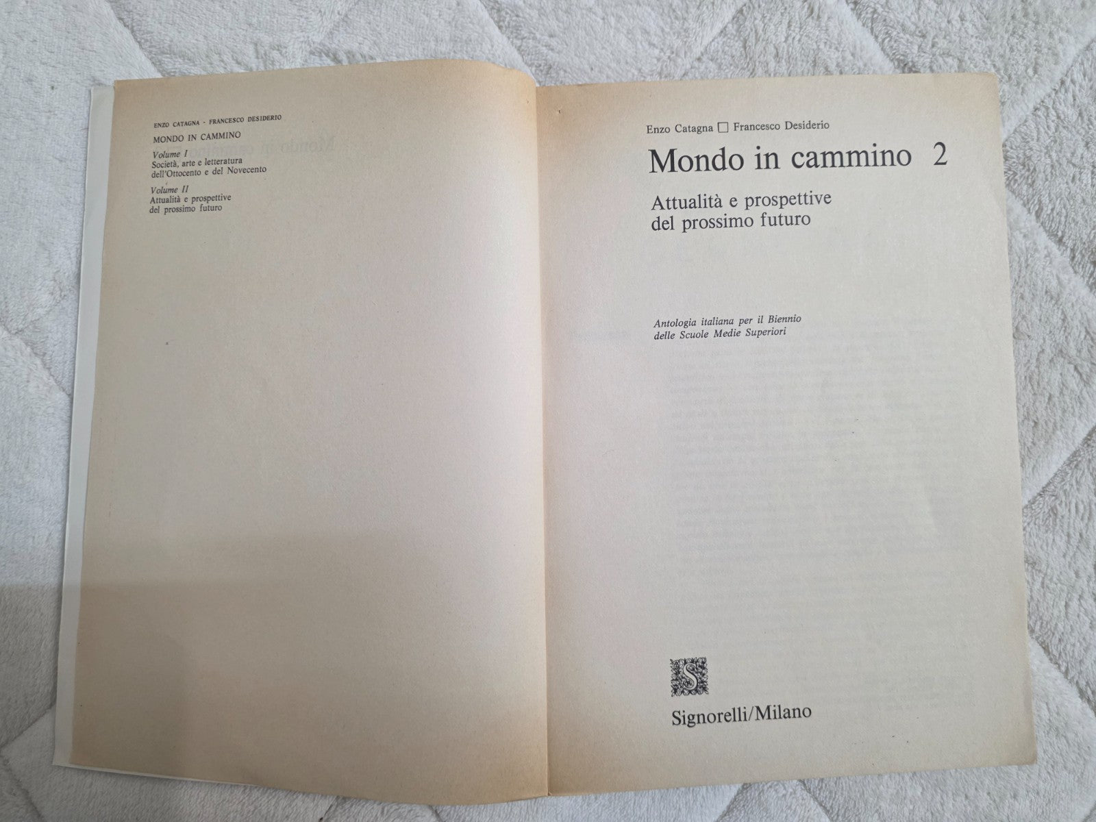 Image #11
