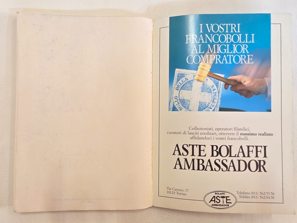 Image #10