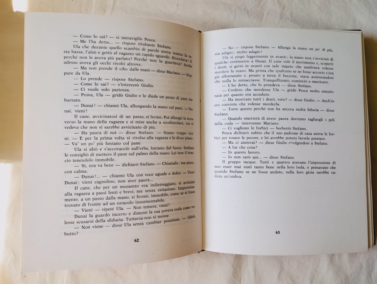 Image #5