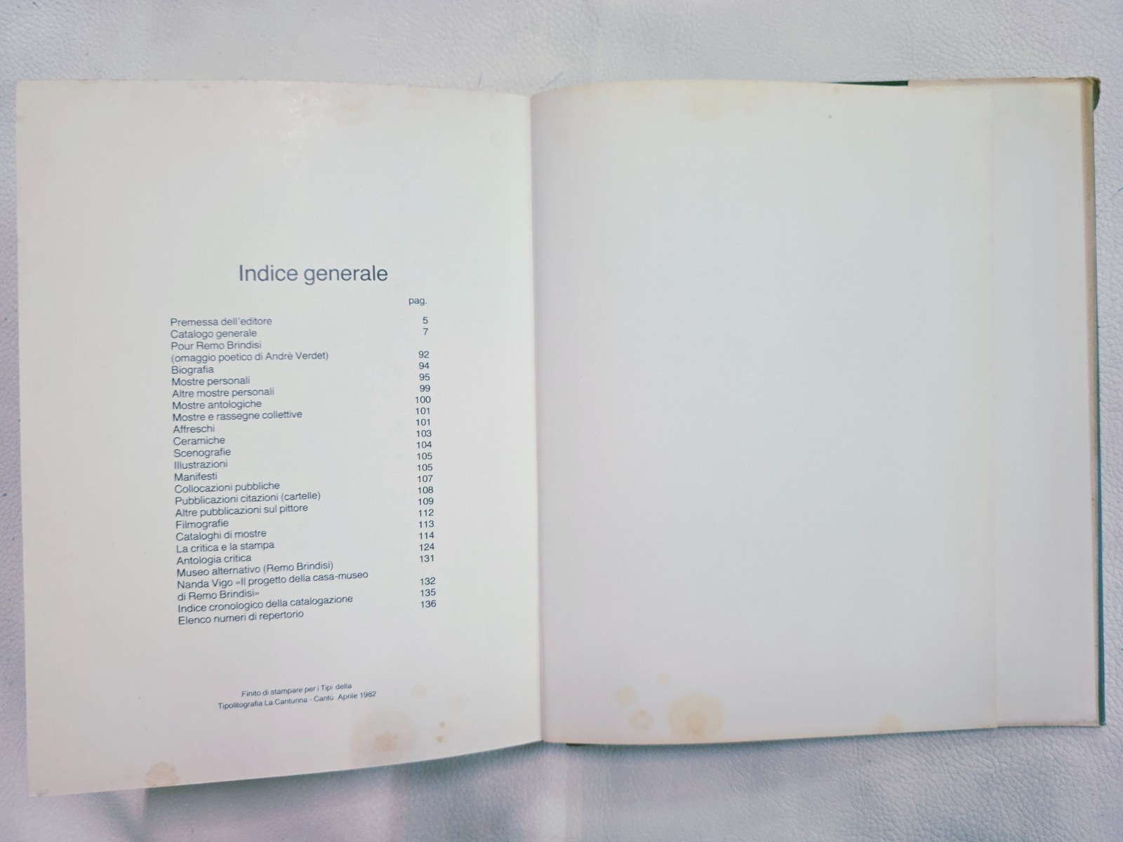 Image #12