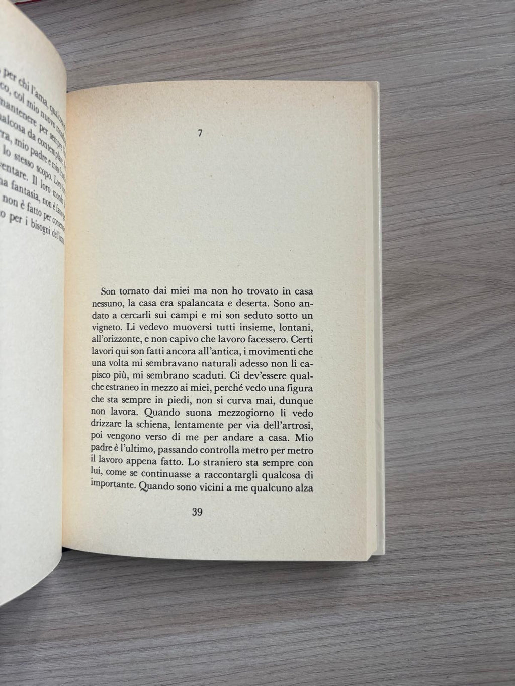 Image #11