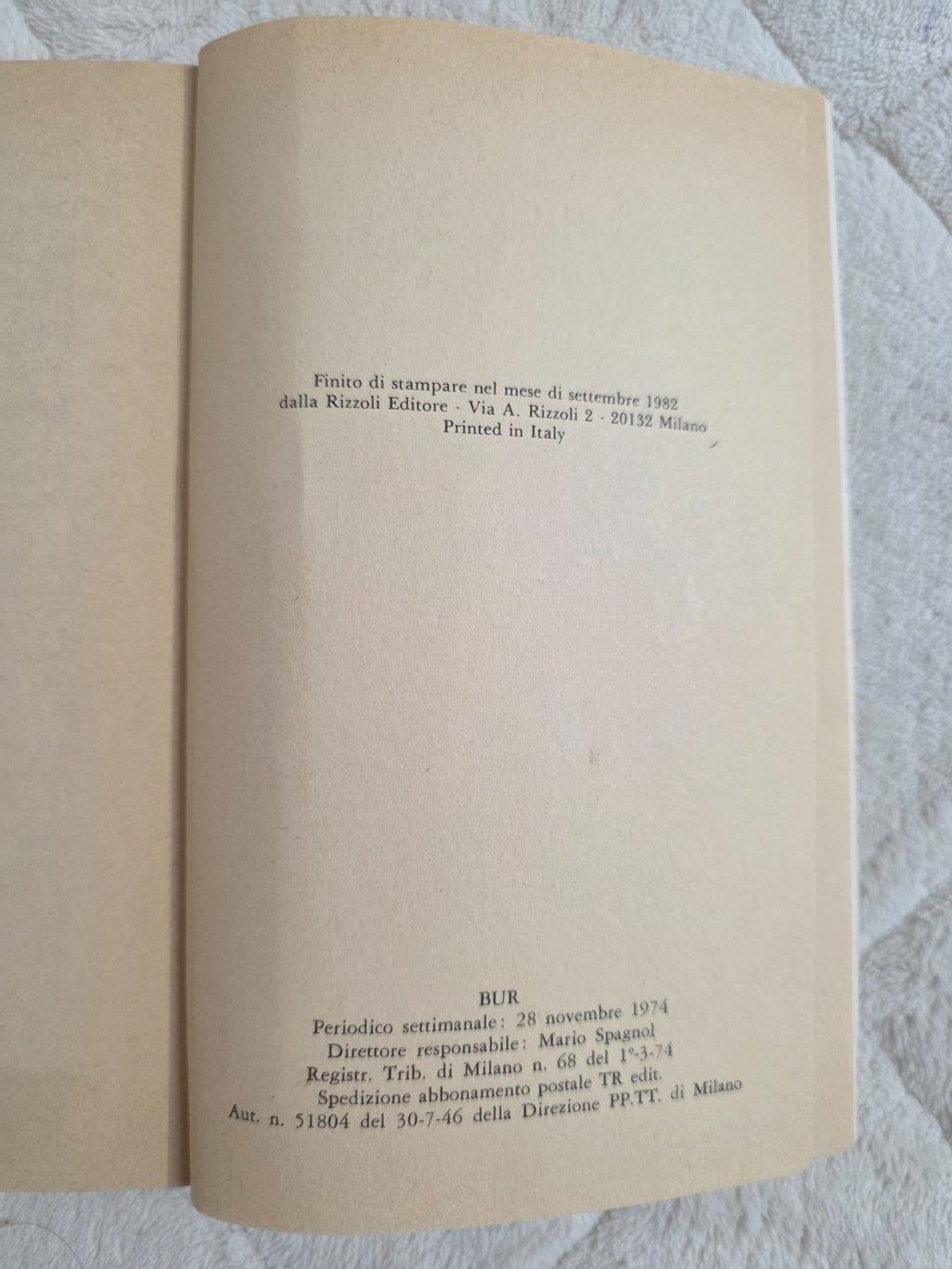 Image #10