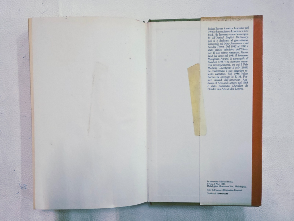 Image #7