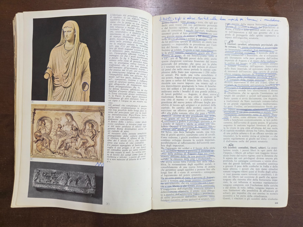 Image #12